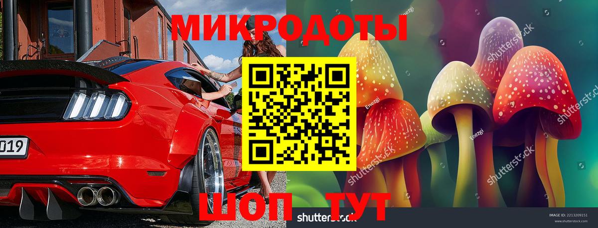 Псилоцибиновые грибы мицелий Воткинск